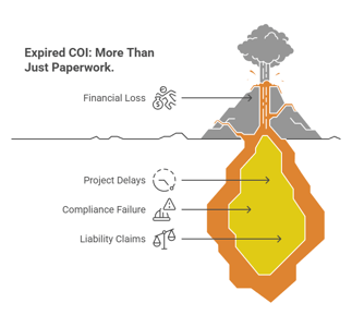 The Real Cost of...